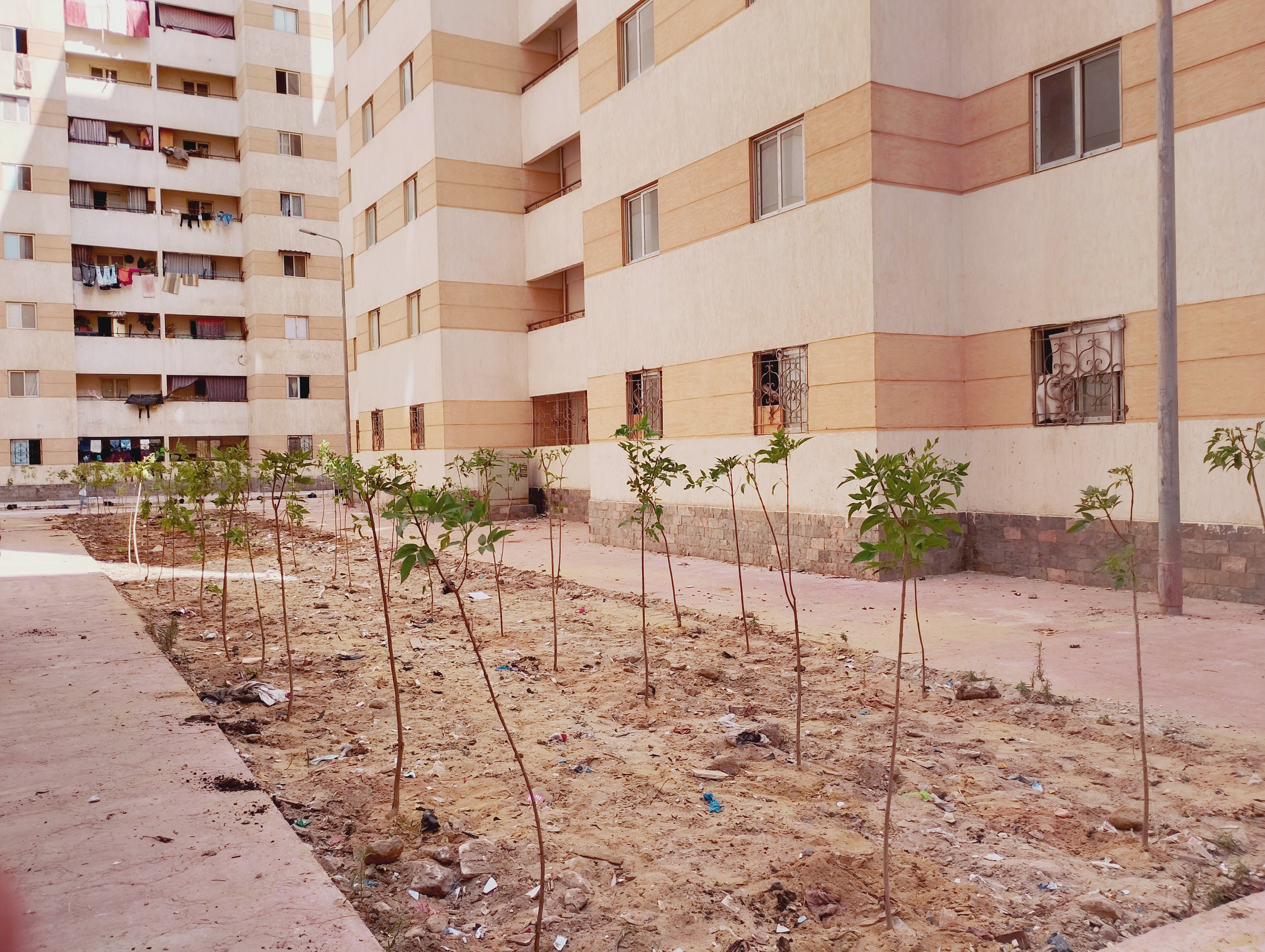 أحدث الأخبار