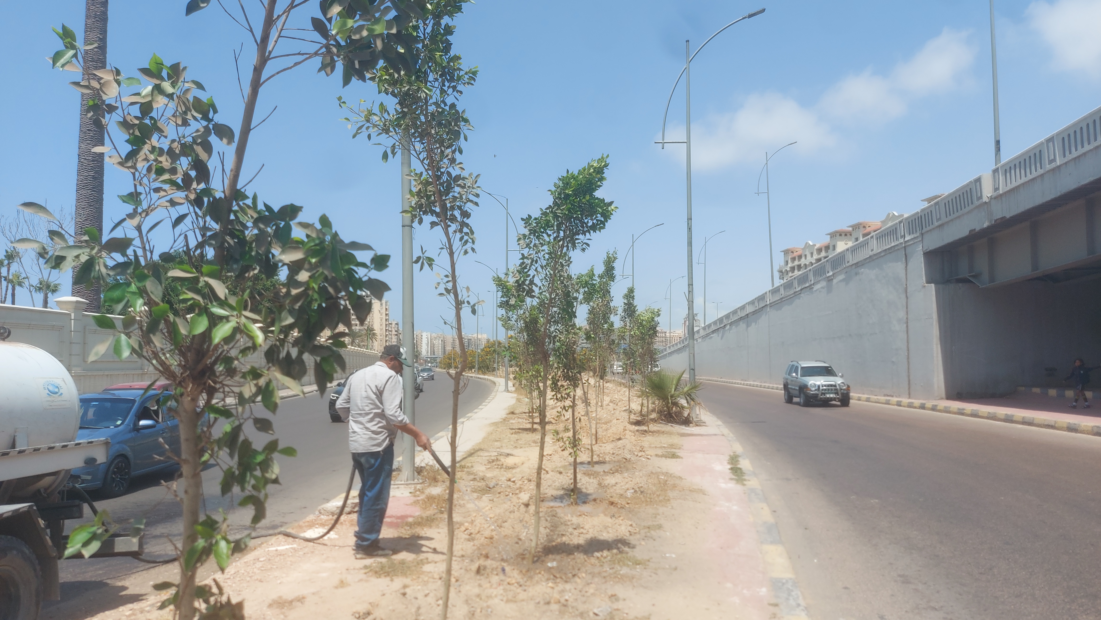 أحدث الأخبار