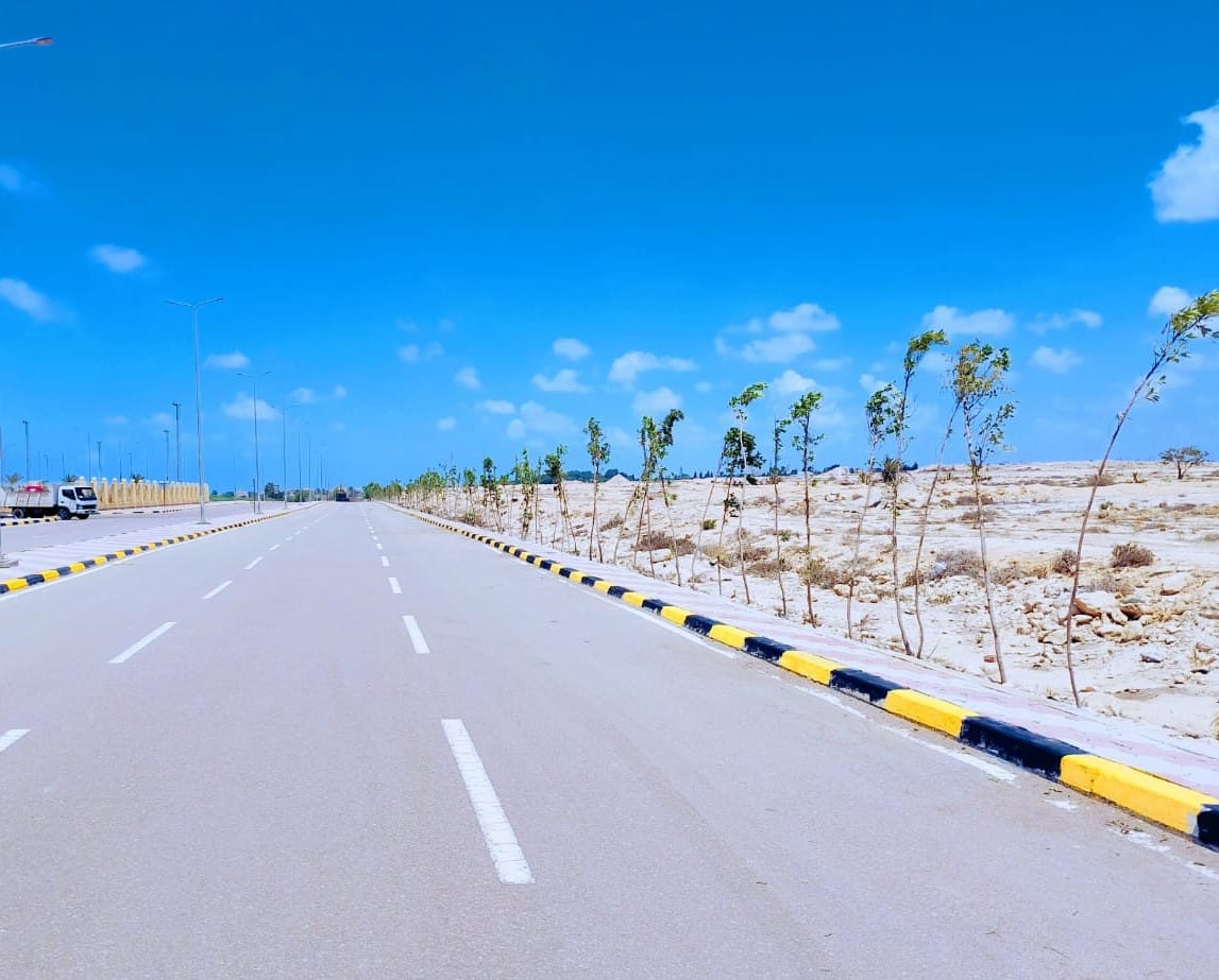 أحدث الأخبار