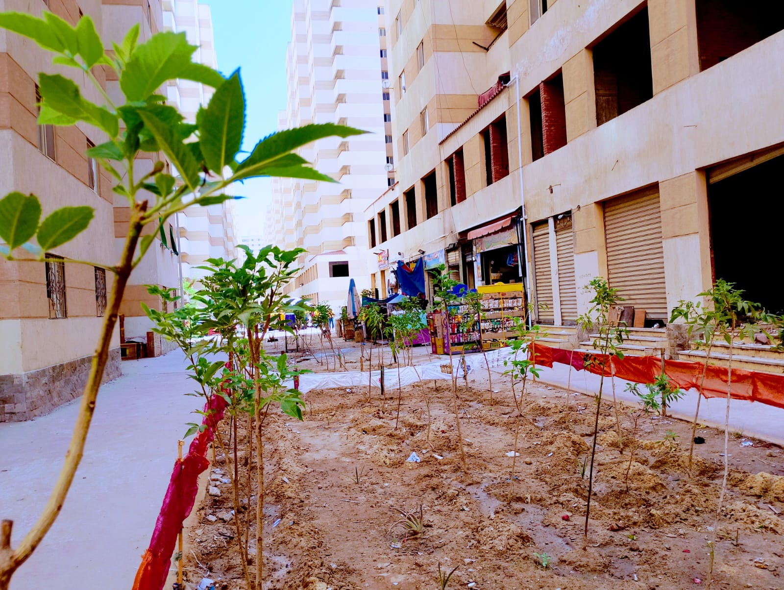 أحدث الأخبار