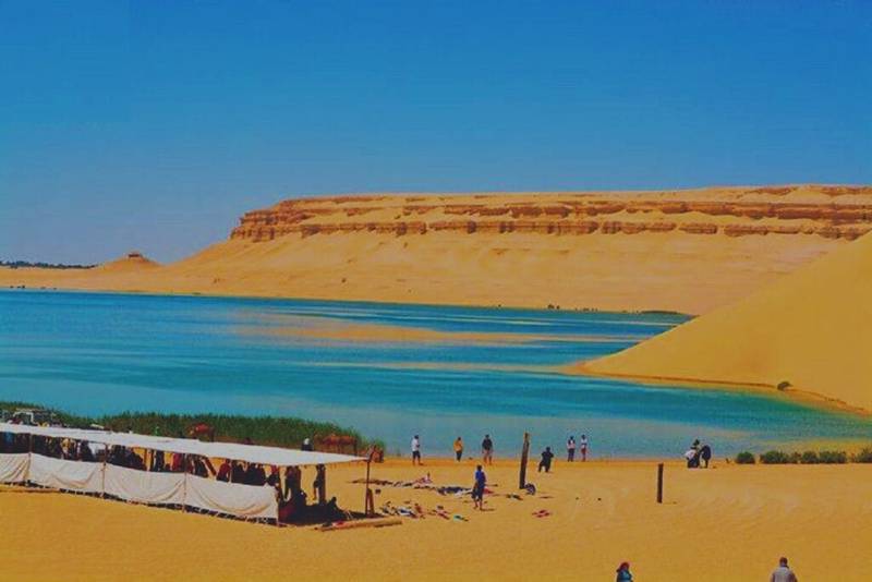 أبرمت شركة «اي سي تي سي للتدريب والاستشارات» عقد تنفيذ مشروع "إنشاء موقع إلكتروني بالمحمية قارون الطبيعية" مع جمعية «بادر للتنمية المستدامة»