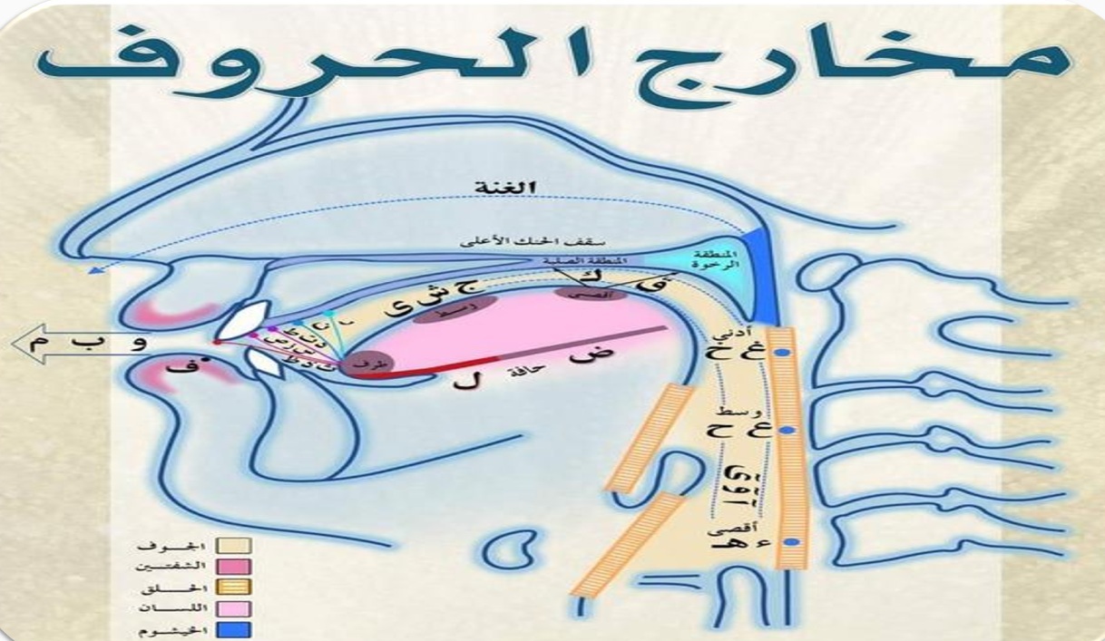 News Image 2