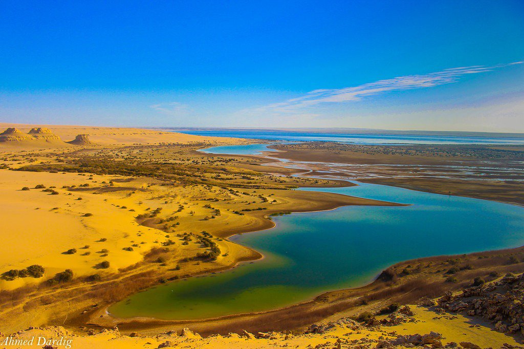 Development of the Official Website for Qarun Nature Reserve